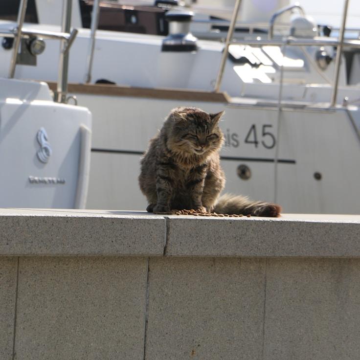 SolarOrchardWay yacht fleet